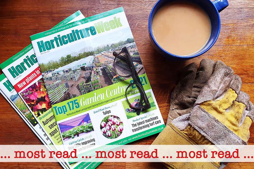 Most read this week